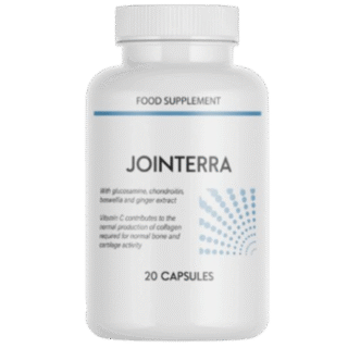 Jointerra